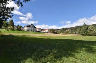 Grundstück zu kaufen in Fasslbauerweg 126, 8524 Bad Gams, Ihr ganz persönliches Paradies wartet auf Sie: Ländliche Idylle trifft auf perfekte Anbindung - Nur 25 Minuten von Graz entfernt! Tauchen Sie ein in Ruhe und Natur!