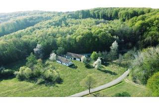 Bauernhäuser mieten in 7540 Tschanigraben, Bauernhaus in idyllischer Alleinlage im Südburgenland