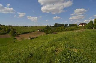 Gewerbeimmobilie kaufen in 8282 Loipersdorf bei Fürstenfeld, Alleinlage - Landwirtschaft mit Vierkanthof und ausgebautem Kellerstöckl in einzigartiger Panoramalage!