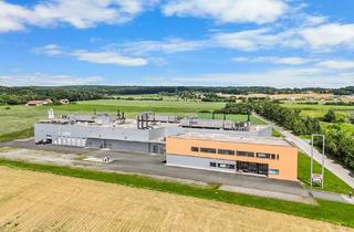 Büro zu mieten in 7540 Güssing, Industrie / Gewerbeliegenschaft in Güssing zu pachten!