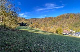 Gewerbeimmobilie kaufen in 3644 Emmersdorf an der Donau, Großes an Bauland grenzendes Grünland-Grundstück bei Emmersdorf!