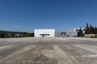 Gewerbeimmobilie kaufen in 2752 Wöllersdorf, 1.500 m² Lagerhalle + 8.000 m² Freifläche asphaltiert zu verkaufen