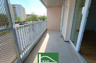 Wohnung mieten in Doktor-Wilhelm-Steingötter-Straße, 3107 Sankt Pölten, Steingötterhof: Stadt trifft Natur - Neubauwohnungen in wunderbarer Lage!