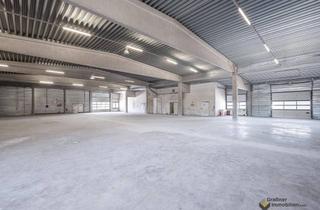 Gewerbeimmobilie kaufen in 2326 Maria-Lanzendorf, INVESTMENT OBJEKT - SINGLE TENANT