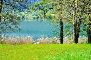 Grundstück zu kaufen in 9570 Alt-Ossiach, Atemberaubende SEELIEGENSCHAFT in absoluter Ruhelage am Ossiacher See (Freizeitwohnsitz)