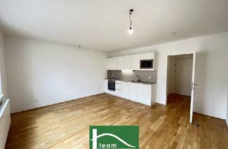Wohnung mieten in Pohlgasse, 1120 Wien, Wundervolle 1-Zimmer Wohnung in toller Lage - Einbauküche inklusive - ab 01.08.2025 verfügbar!