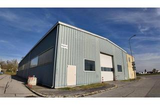 Gewerbeimmobilie kaufen in 2301 Groß-Enzersdorf, 900m² Produktionshalle mit 360m² Büro | 2.838m² Eigengrund