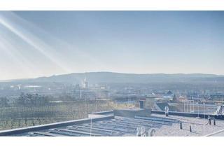 Wohnung kaufen in Bründlgraben 47A, 3500 Krems an der Donau, Neubau Erstbezug Helle Zwei Zimmer Terrassenwohnung mit Süd-Ost Fernblick