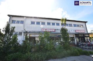 Büro zu mieten in Anton-Sattler-Gasse, 1220 Wien, ALLES ERLAUBT!!! Ihr neues flexibel nutzbares Geschäftslokal/Lager/Büro!!! 3,2,1,LOS...