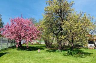 Mehrfamilienhaus kaufen in Lanzendorfer Hauptstraße, 2130 Mistelbach, Haus mit traumhaftem Garten in Lanzendorf | 6 Zimmer, 4 Autostellplätze | Auch als Mehrfamilienhaus nutzbar | Am Naherholungsgebiet Zayawiesen