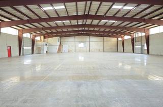 Lager kaufen in 2301 Groß-Enzersdorf, 1.800m² Halle mit Rampen und ebenerdiger Einfahrt | 250m² Büro | ca. 4.000m² Grund