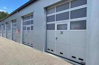 Immobilie mieten in Packer Straße 9B, 8561 Großsöding, Großgarage Lagerhalle Lagerboxen - ZELTWEG u. LIEBOCH