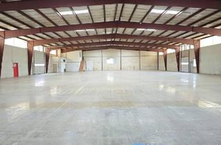 Gewerbeimmobilie kaufen in 2301 Groß-Enzersdorf, 1.800m² Halle mit Rampen und ebenerdiger Einfahrt | 250m² Büro | ca. 4.000m² Grund