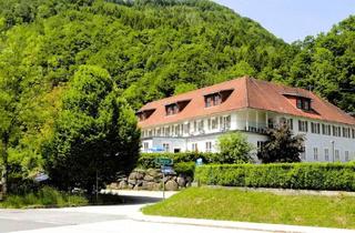 Gewerbeimmobilie kaufen in 4463 Großraming, renommierter Hotelbetrieb mit Restaurant, 22 Zimmern, Seminarraum und Wellnesszone - Großraming/Ennstal