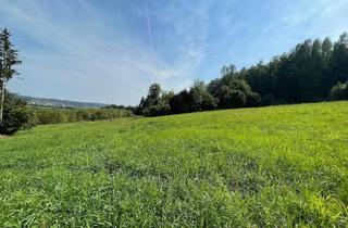Grundstück zu kaufen in 8181 Sankt Ruprecht an der Raab, Traumhaftes Grundstück mit Fernblick