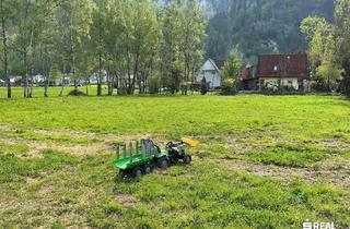 Grundstück zu kaufen in 6845 Hohenems, Grundstück im Grünen zum Wohnen oder für Gewerbe