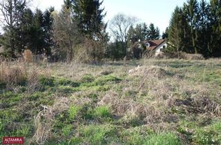 Grundstück zu kaufen in 3062 Kirchstetten, BAUTRÄGERLIEGENSCHAFT mit Einreichplan für 8 Doppelhaushälften