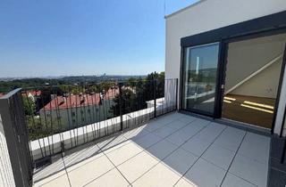 Wohnung kaufen in Josef-Kraft-Weg, 1130 Wien, STOCK IM WEG - Maissonette Dachgeschosswohnung in Wohnidylle