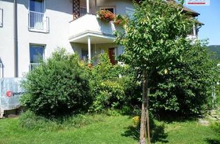 Wohnung mieten in Liechtensteinstraße 59, 2824 Seebenstein, Blick auf die Burg