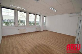 Büro zu mieten in Kornstraße, 4060 Leonding, SIE WOLLEN SICH SELBSTSTÄNDIG MACHEN? WIR HABEN DIE IDEALE BÜROFLÄCHE TOP B01