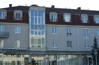 Garagen mieten in Josef Höfle-Gasse, 2500 Baden, Tiefgaragenplatz
