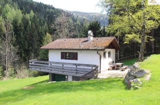 Haus kaufen in 2881 Trattenbach, Gemütliches Wochenendhaus im Grünen - gemütlich, praktisch und klar strukturiert