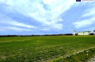 Grundstück zu kaufen in Gramatneusiedler Straße, 2435 Ebergassing, Rarität! Landwirtschaftliches Grundstück in Ebergassing – ca. 40.000 m² Ackerfläche mit enormen Wertsteigerungspotential zu verkaufen!