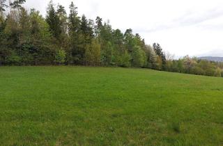Gewerbeimmobilie kaufen in 8062 Kumberg, Wald und Wiese mit Hütte