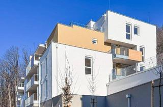 Wohnung mieten in 3033 Altlengbach, Dachterrassenhit mit spektakulären Ausblick