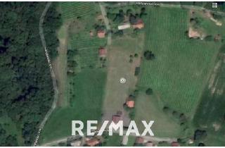 Grundstück zu kaufen in Ivanjsevski Vrh 60, 8490 Bad Radkersburg, Slowenien - Baugrundstück nahe Gornja Radgona, Bad Radkersburg - Südhang