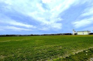 Grundstück zu kaufen in Gramatneusiedler Straße, 2435 Ebergassing, Rarität! Landwirtschaftliches Grundstück in Ebergassing - ca. 40.000 m² Ackerfläche mit enormen Wertsteigerungspotential zu verkaufen!