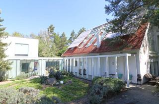 Villen zu kaufen in 2102 Hagenbrunn, Luxusvilla mit Park, Pool und Badehaus am Naturschutzgebiet
