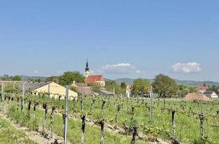Lager kaufen in Langenlois | Wachau, 3550 Gobelsburg, Weinkeller in idyllischer Kellergasse | Nähe Langenlois