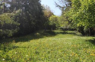 Grundstück zu kaufen in 2102 Hagenbrunn, Traum-Baugrund in Hagenbrunner Bestlage am Naturschutzgebiet