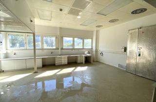 Büro zu mieten in Siemensstraße, 1210 Wien, ehemaliges Labor - Erdgeschoßfläche Nähe Bahnhof Siemensstraße