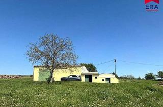 Haus kaufen in 2172 Schrattenberg, PREISREDUZIERUNG! Schrattenberg-Weinkeller mit atemberaubender Fernsicht und zusätzlichem Grundstück