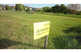 Grundstück zu kaufen in 7083 Purbach am Neusiedler See, Kleines Baugrundstück am Stadtrand in Purbach !