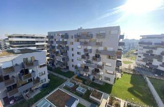Wohnung mieten in Donau, 1220 Wien, Zwei Zimmer mit bester Aussicht in Donaustadt