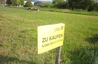 Grundstück zu kaufen in 7083 Purbach am Neusiedler See, Kleines Baugrundstück am Stadtrand in Purbach !
