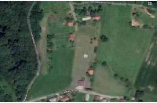 Grundstück zu kaufen in 8490 Bad Radkersburg, Slowenien - Baugrundstück nahe Gornja Radgona, Bad Radkersburg - Südhang