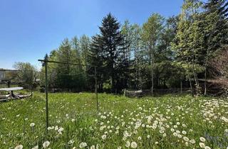 Grundstück zu kaufen in 4111 Walding, WALDING: Baugrundstück ca. 1020 m² (mit Altbestand) in sehr guter und begehrter Lage