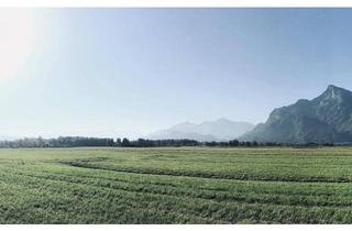 Grundstück zu kaufen in 5020 Salzburg, Idyllisches Baugrundstück in Leopoldskron-Moos // direkt vom Eigentümer