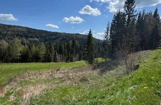Grundstück zu kaufen in 8831 Schönberg-Lachtal, Traumhaftes Baugrundstück im Herzen des Lachtals – nur 2 Minuten vom Ski- udn Wandergebiet entfernt! Zweitwohnsitzwidmung!