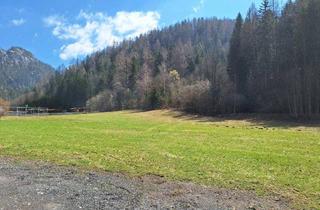 Grundstück zu kaufen in 8632 Gußwerk, Traumgrundstück in absoluter Ruhelage angrenzend am Wald - nahe Mariazell