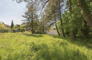 Grundstück zu kaufen in Kreuzwiesengasse, 1170 Wien, Kreuzwiesengasse - sonniges Baugrundstück (unbebaut) am Schafberg