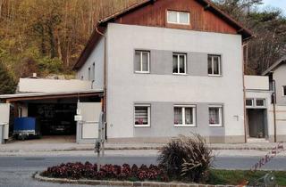 Haus kaufen in 2564 Fahrafeld, Großes Zweifamilienhaus mit 2 getrennt begehbaren Wohnbereichen (8Zimmer) wartet auf Sie! Sofort beziehbar!
