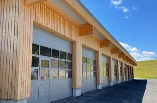 Lager mieten in Grieserstraße, 5662 Gries, Lagerhalle mit sehr guter Verkehrsanbindung