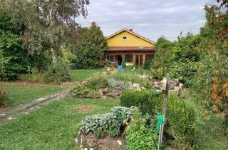 Einfamilienhaus kaufen in Stadtfeldgasse 18, 2095 Drosendorf Stadt, Älteres Einfamilienhaus mit Traumgarten und Biotop