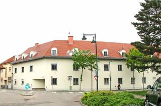 Wohnung kaufen in 2361 Laxenburg, Charmante Dachgeschoßwohnung in Laxenburg – Ihr renovierungsbedürftiges Traumprojekt! 155.000 Fixpreis