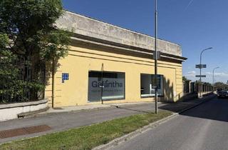Büro zu mieten in Esterhazyplatz, 7000 Eisenstadt, Top-Geschäftslokal in stark frequentierter Lage am Esterhazyplatz zu vermieten